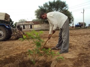 Plantation drive @ Agihar, Haryana